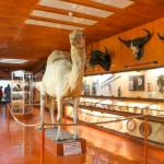 Le Musée Africain de l’Ile d’Aix