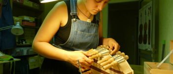 Marie-Catherine Massé, luthière