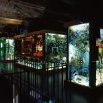 MIAM ... Musée International des Arts Modestes