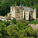 Le Château d’Allemagne-en-Provence