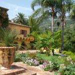 Le jardin botanique Val Rahmeh