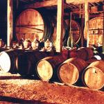 L'Armagnac Castarède