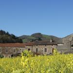 Abbaye de Sylvanès