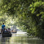 Le marais poitevin