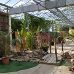 Le Dinosaurium