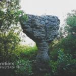 Les bénitiers de l'Alaric