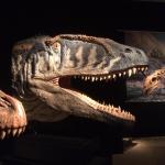 Le Dinosaurium