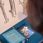 Musée de l'Amande et du Macaron