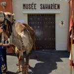 Le Musée Saharien