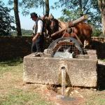 Châteauneuf de Gadagne