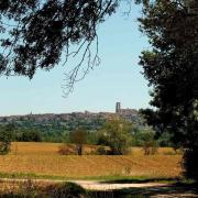 Lectoure