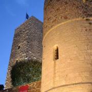 Le Musée de la Castre