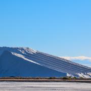 Les Sains de Camargue