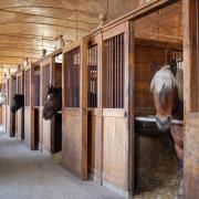 Le haras national de Tarbes