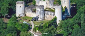 Le château du Coudray-Salbart