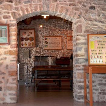 Musée du Scribe
